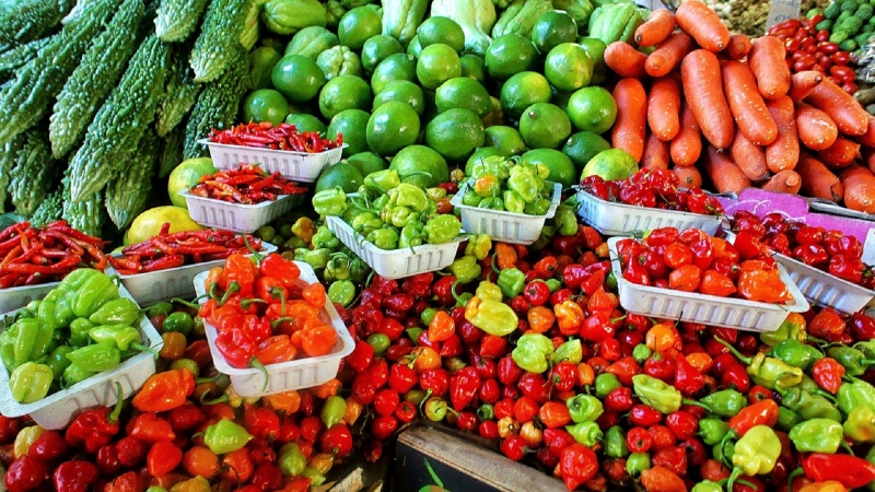 primeur-LA CADIERE D AZUR-min_farmers-market-1329008